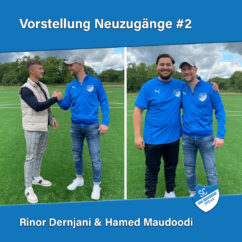 Rinor Dernjani Hamed Maudoodi