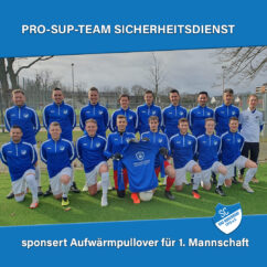 Prosupteam