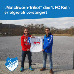 Fc Versteigert