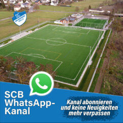 Scb Whatsapp