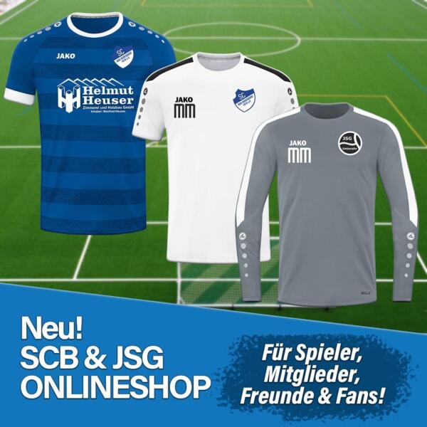 Bild Onlineshop Scb 090424